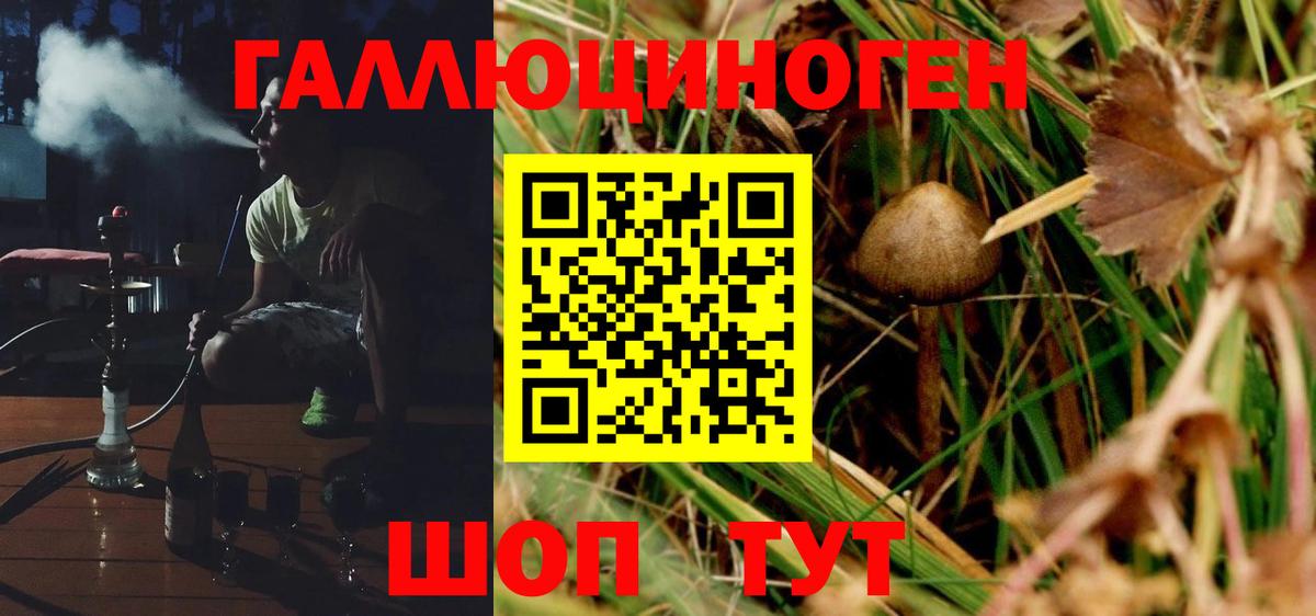 Псилоцибиновые грибы Magic Shrooms Муром